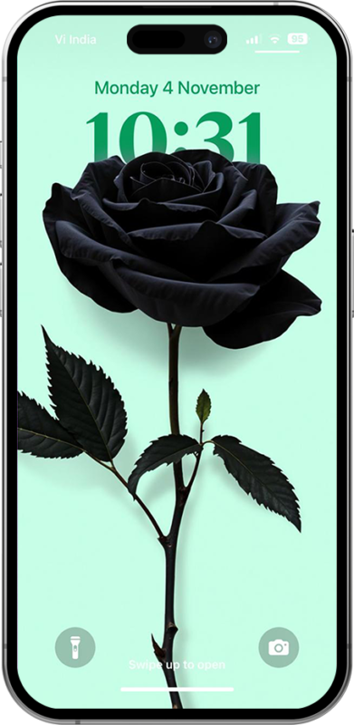 Black-Rose Striking black rose adding cool depth effect