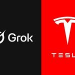 Grok in Tesla Cars
