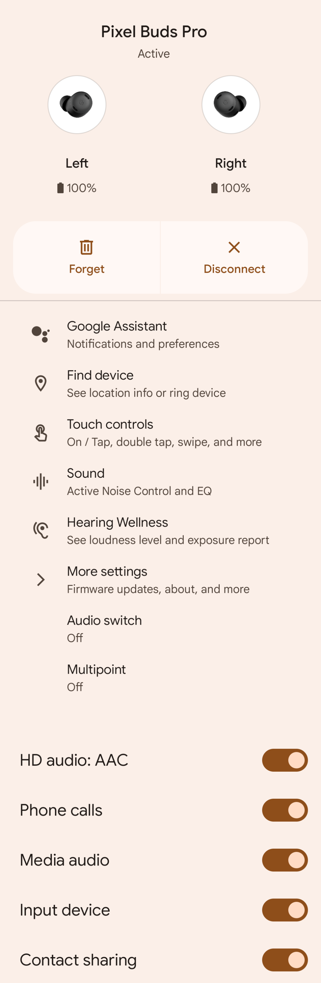 pixel-buds-troubleshooting-settings-not-showing-up-insidetechno